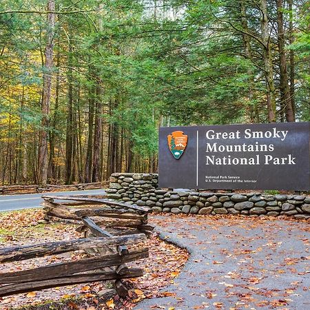 Downtown Delight, 2 Bedrooms, Pool, Hot Tub, Sleeps 6 Gatlinburg Exteriör bild
