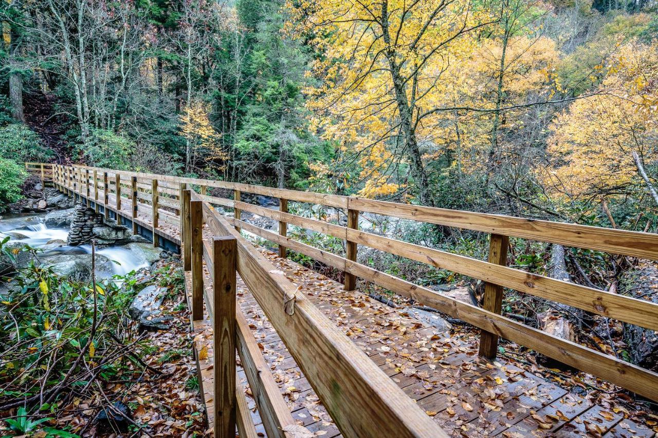 Downtown Delight, 2 Bedrooms, Pool, Hot Tub, Sleeps 6 Gatlinburg Exteriör bild